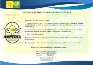 Nota de Indicação de Emenda Parlamentar